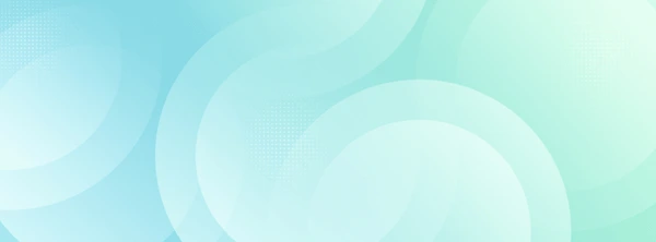 Everlink Solutions